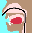 経鼻内視鏡の挿入経路模式図
